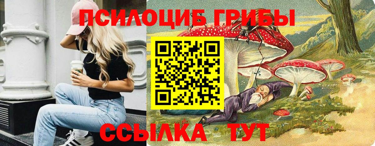 Галлюциногенные грибы Magic Shrooms  купить  цена  Октябрьский  Галлюциногенные грибы GOLDEN TEACHER  Вход с VPN 